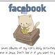 Illustration for article titled Here Are All Your Favorite Social Networks Explained